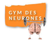 Gym des neurones